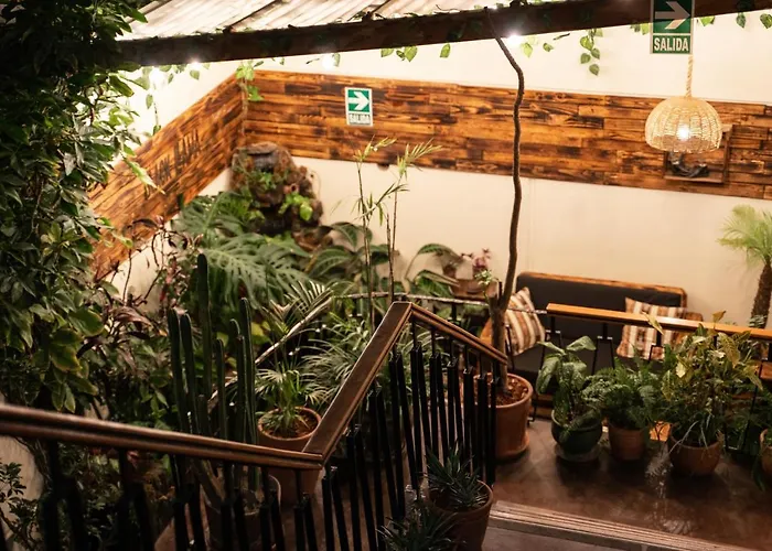 Black Llama MirafloresHostel