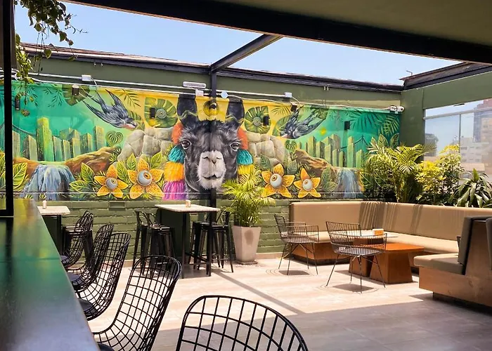 Black Llama MirafloresHostel